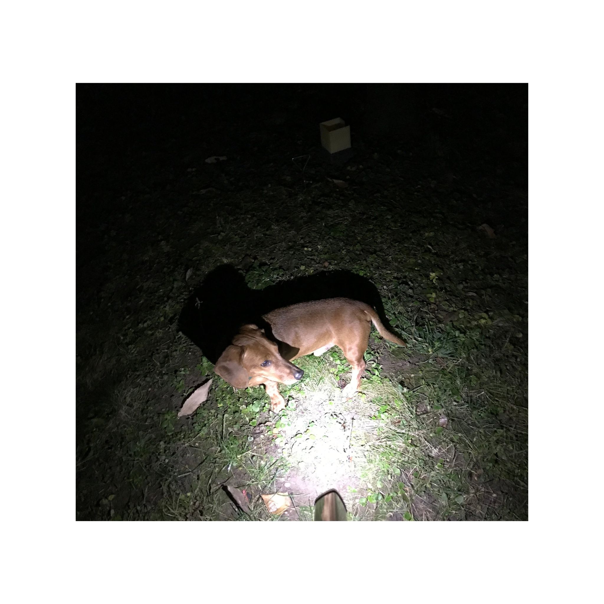 Outdoor- und Campinglicht X5