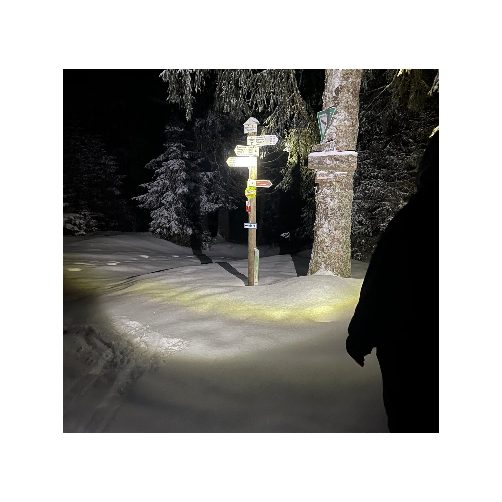 HydraCell AquaTac (Modell 2021)