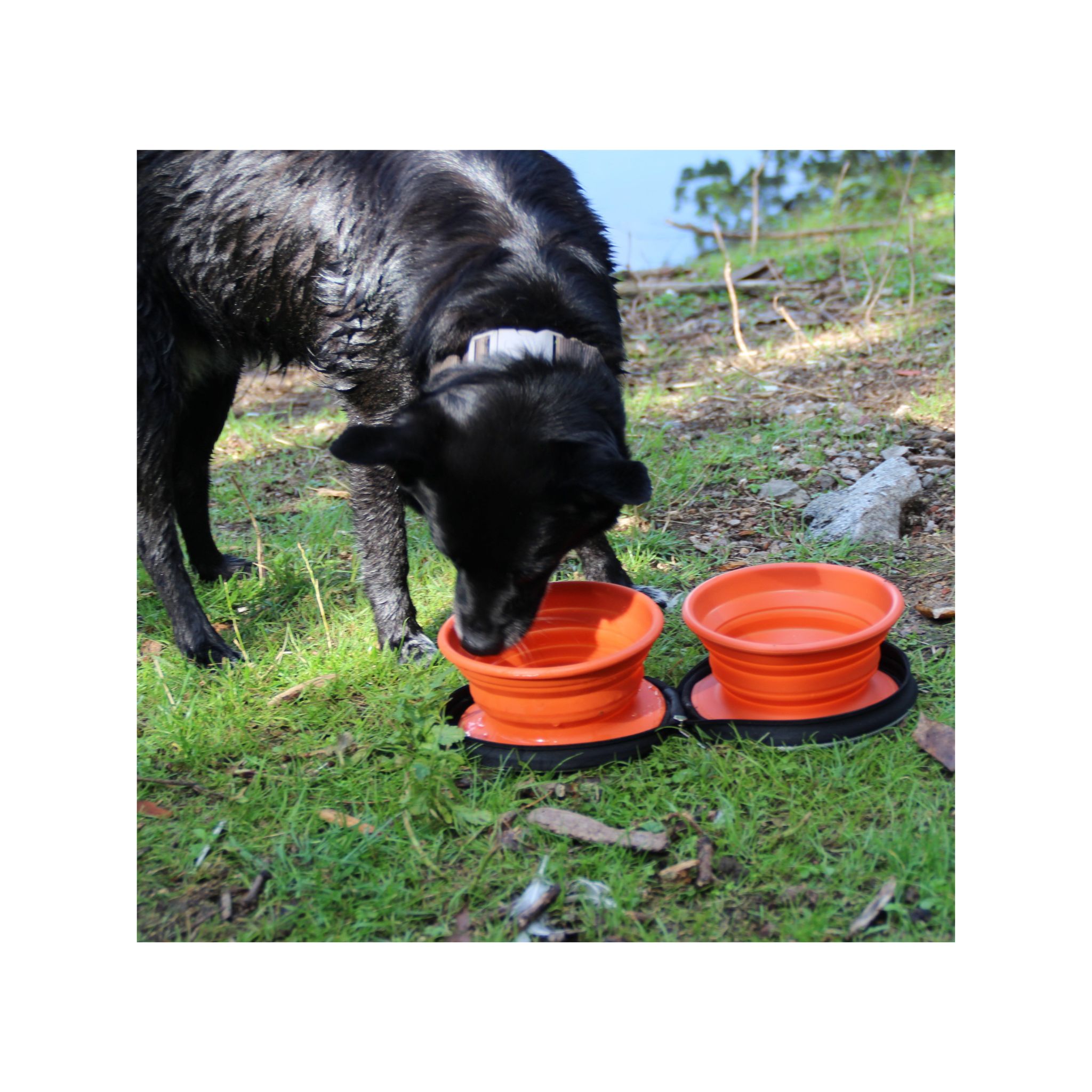 Dog-Bowl - Faltbarer Futternapf - 2er Set